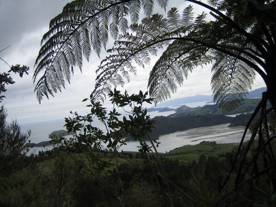 Blick von der Kapelle über das Coromandel Peninsula