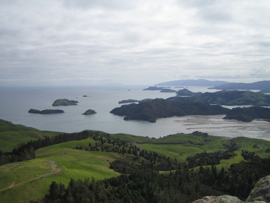 Blick über Coromandel