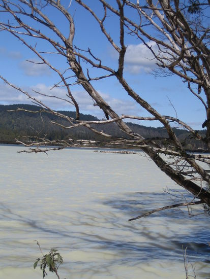 Salziger warmer See in Rotorura