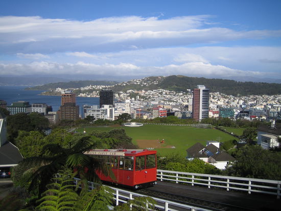 Wanderung auf den Mount Victoria - beliebter Aussichtspunkt über die gesamte Stadt. 
Wegen den vielen Hügeln hat Wellington so ein bissel das Flair von San Francisco.
