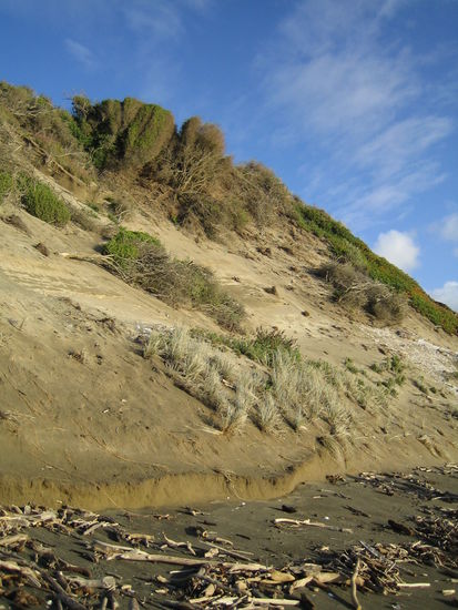 Sonntagsspaziergang am Strand entlang nahe Plimmerton, ich glaube das hieß  Kapiti Coast.