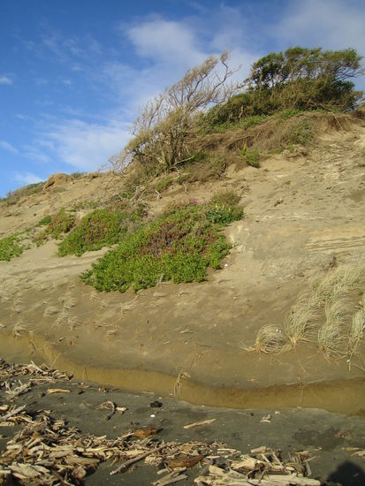 Close to Plimmerton on a Sunday Afternoon