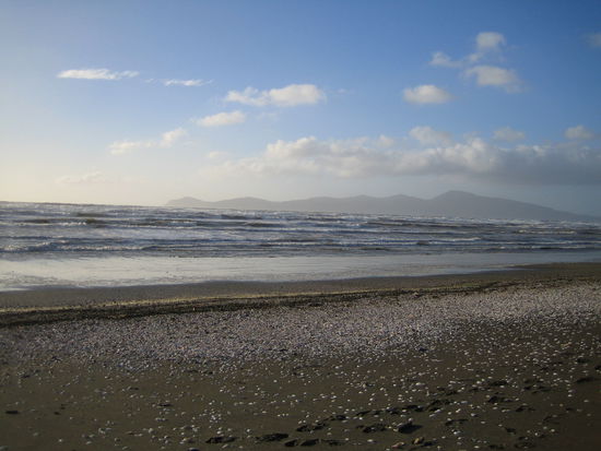Einsame Strände mit vielen Muscheln