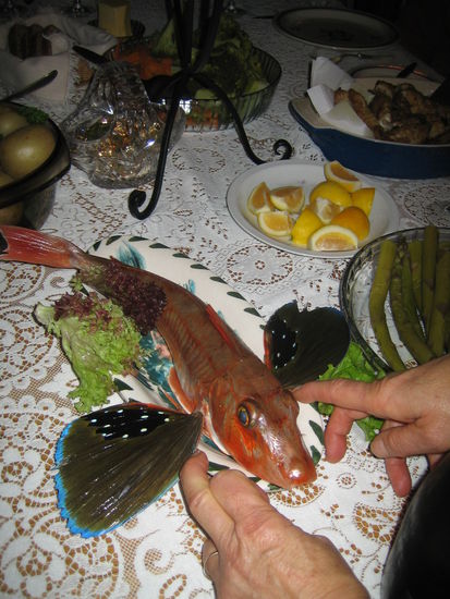 Den haben wir verspeist - trotz seiner "Flügel". Das war ein superschöner Abend mit einem superlieben Seniorenpaar aus England Mike und Gill Blamey und einem neuseeländischen Paar, ursprünglich aus Südafrika emigriert, dem das B&amp;B gehörte. Unvergeßlich, great memories, best company.