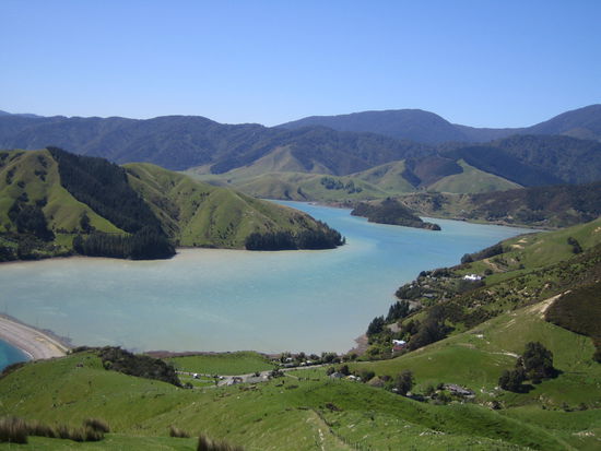 Cable Bay Walkway
Von unten aus dem Tal aufgestiegen geniesst man tolle Blicke.