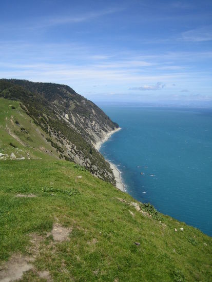 Cable Bay Walkway