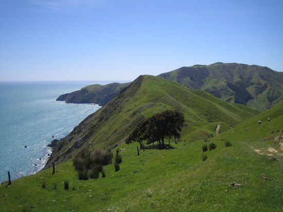 Cable Bay Walkway