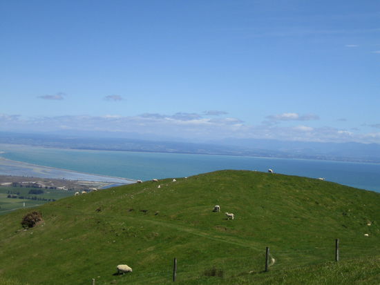 Cable Bay Walkway