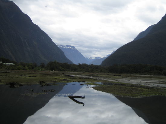 Fjordlands mit dem Milford Sound - eins meiner Lieblingsbilder dieser Reise