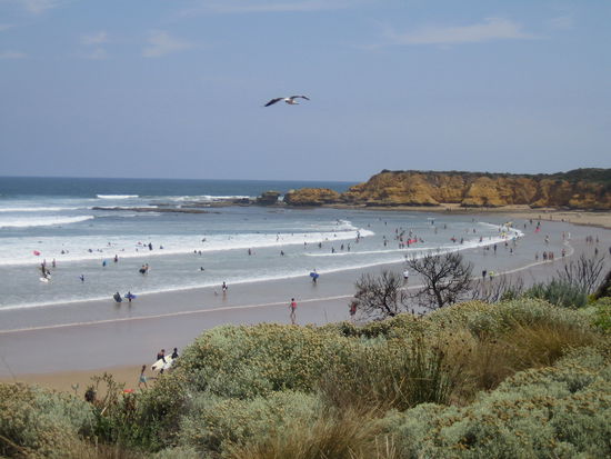 Strand an der Great Ocean Road - mit vielen Surfern