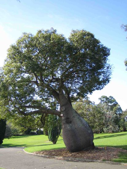 Der ist doch echt lustig, oder?