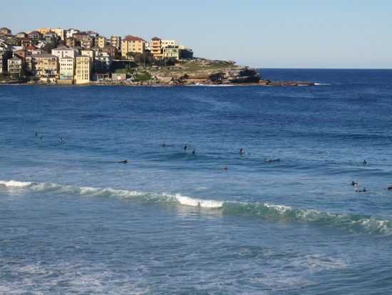 Bondi und die vielen Surfer