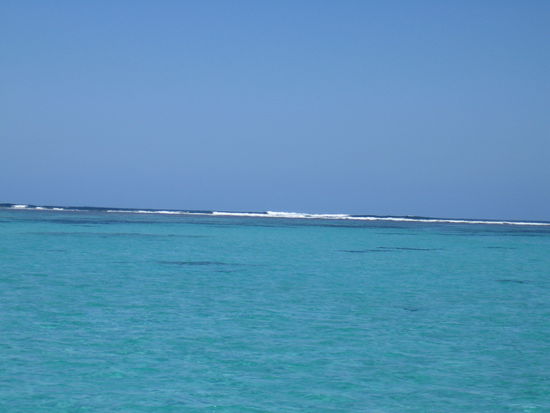 Schnorcheln ohne Ende mit vielen bunten Fischen.