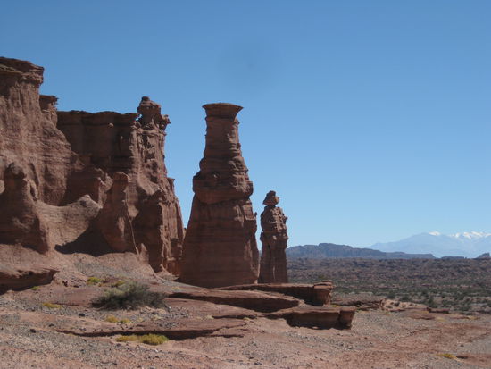 Die Flasche und der Mönch