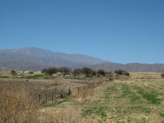 Ständig wechselnde Landschaften, mal grün, mal grau, mal rot.