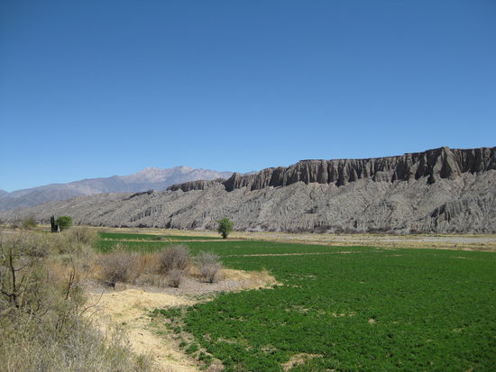Hier regnet es viel mehr als im trockenen Chilecito, dachte ich mir bei dem satten grün der Wiese.