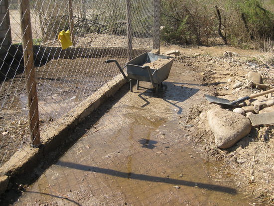 Der Garten füllt sich mit dieser Brühe.