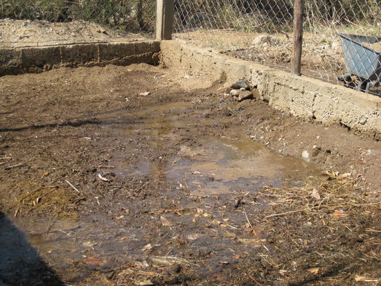 Seht ihr das Loch im unteren Teil der Mauer - den Überläter, wo das Wasser reinfloß ? 
Und natürlich nicht wieder abfloß. So stand nun das Wasser und  bot keinen schönen Anblick.  