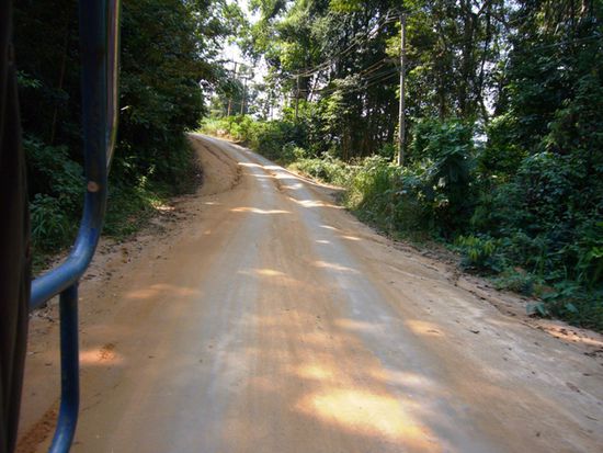 Die Straße führt quer durch den Urwald