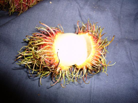 Diese Frucht haben wir auf Rat eines Deutschen probiert. Schmeckt ähnlich wie Litschies. Habe ich auch schon in Deutschland gesehen.