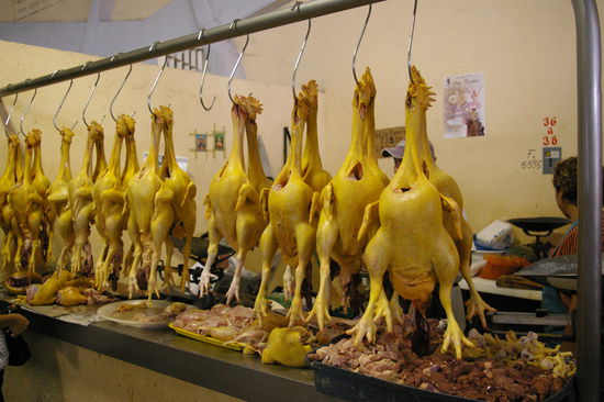 Fuer alle Sagrotan-verliebten, der Markt.