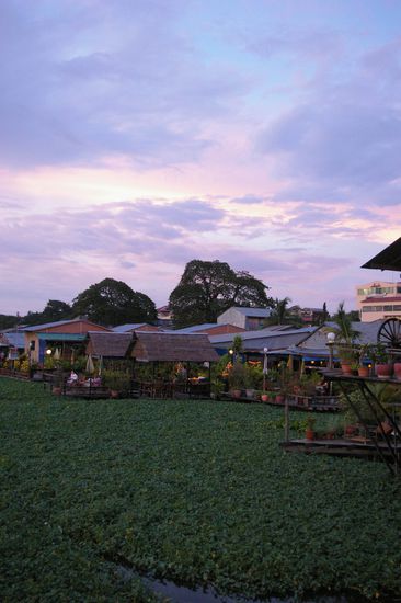 Die Aussicht von Lakeside Nr. 10.