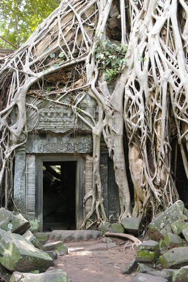 Tomb Raider laesst gruessen.