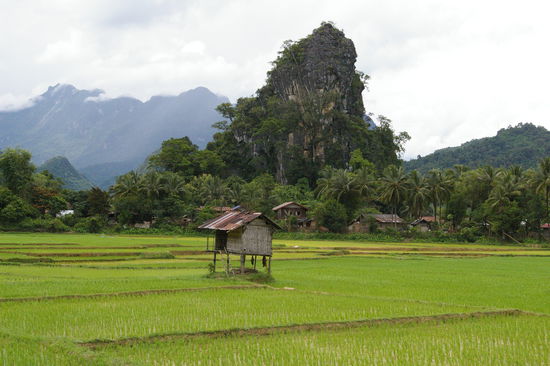 Auf der Wanderschaft.