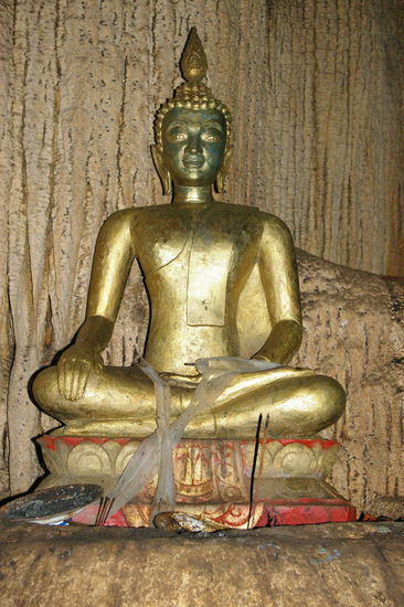 Ein Buddha im Herzen der Dunkelheit.