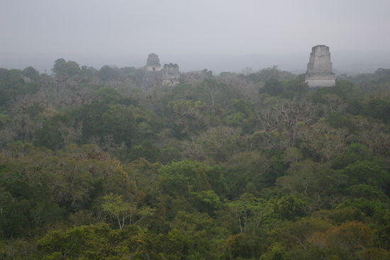 Sun-Rise-Tour in Tikal, 
oder besser gesagt
Cloudy-And-Fog-Tour