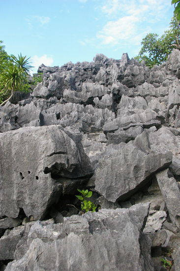 Diese Felsen galt es zu ueberwinden.
