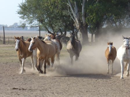 Estancia Santa Susana