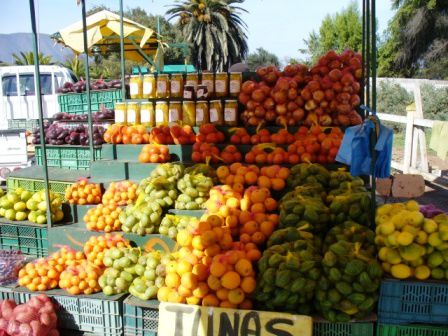 Tunas sind Kaktusfeigen(links neben den Orangen) und die grünen Dinger zwischen Orangen und Zitronen sind kleine Papayas