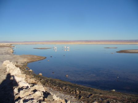 Laguna de Chaxa