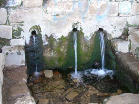 Jungbrunnen