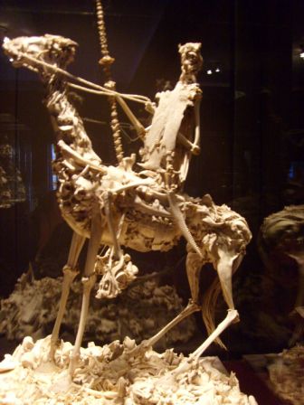 Don Quijote - ganz aus Knochen
