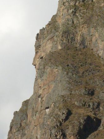 Vexierbild 2