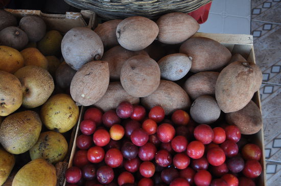 Kurzer Halt an einem Früchtestand am Wegrand