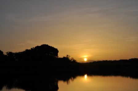 Sonnenaufgang über den Mangroven