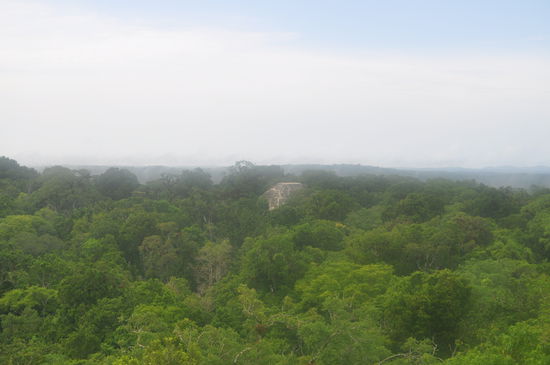 Aussicht von Tempel IV