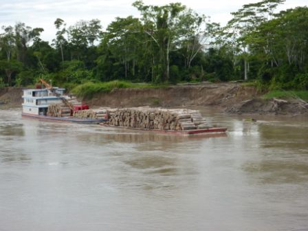 Ein Holztranport auf dem Weg nach Pucallpa