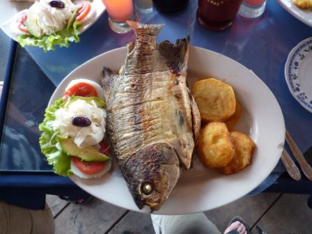 zwar nicht der Fisch von Roberto, aber so einer wars