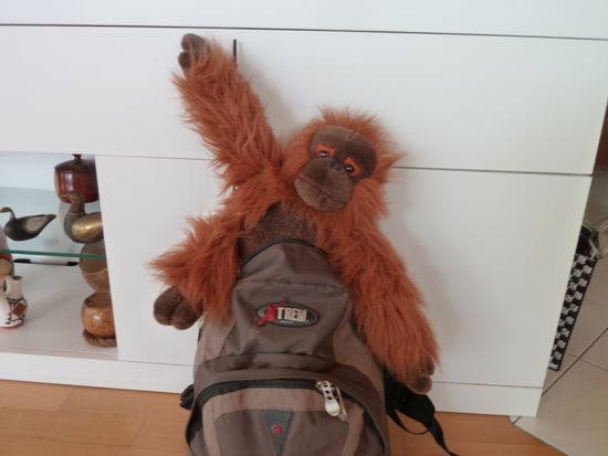 Hello I am Mister Woodman!