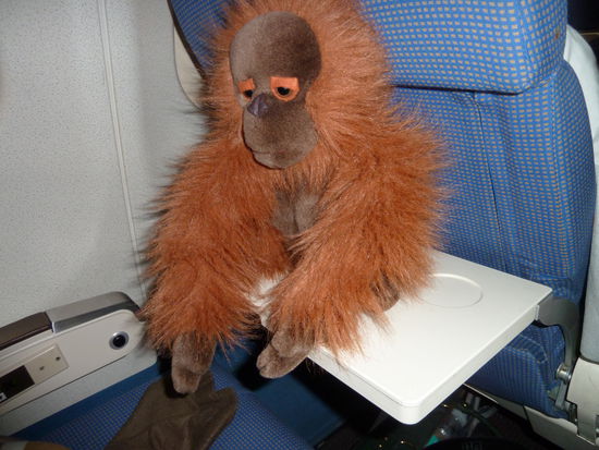 Mr. Woodman schnappt etwas frische Luft, bevor er sich wieder in den Rucksack verkriecht.