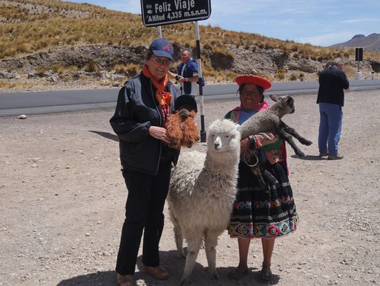 Begegnung auf 4335 m. ü. M.