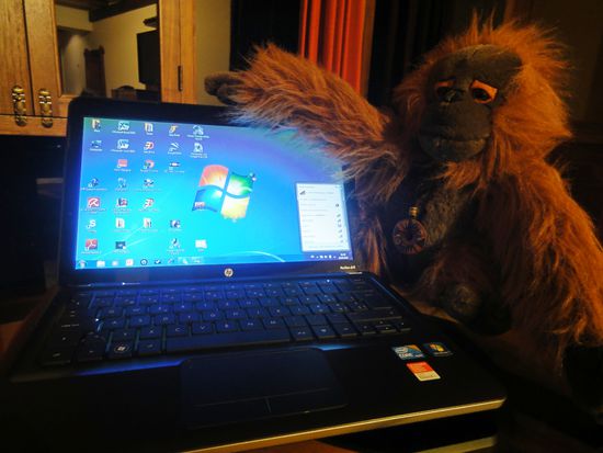 Er will jetzt abends immer genau wissen, was ich über ihn schreibe.