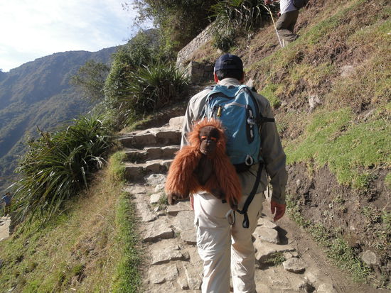 Auf dem Weg nach Machu Picchu