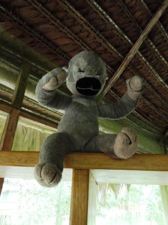 Griselda ist noch etwas schüchtern - eine echte Ureinwohnerin eben