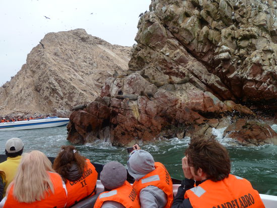 Die Seelöwen haben es sich in den Felsen gemütlich gemacht. Wie hoch die Wellen an die Felsen schlagen, kann man auf dieser Foto gar nicht erkennen, aber der Schiffsmotor kam ein paarmal an seine Grenzen.