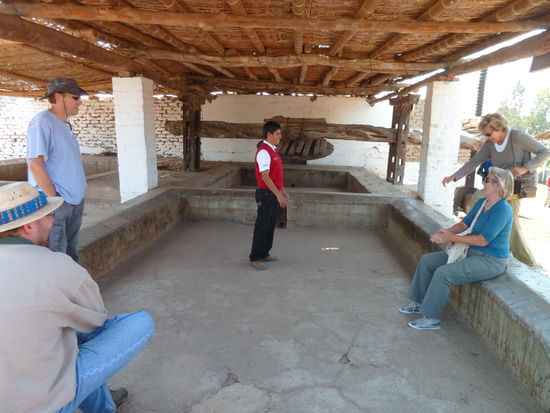 zwei Tonnen Trauben werden in die Wannen gefüllt dann kann der Tanz beginnen. Zu Musik mit blossen Füssen werden die Trauben ausgepresst. Erntezeit ist März, Helfer sind willkommen.